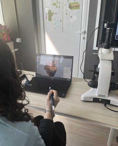 STEM и STEAM  - СУ Васил Левски - Долни чифлик