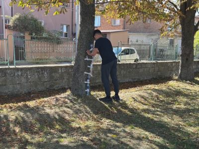 Участие в международен проект GREEN Rural Clubs и фондация „Оренда“ - СУ Васил Левски - Долни чифлик